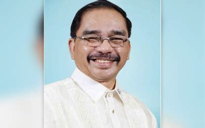 district 2 davao del norte|House of Representatives.